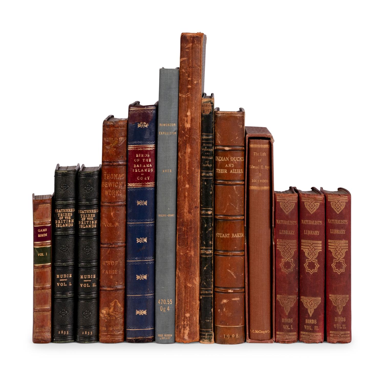 [NATURAL HISTORY - ORNITHOLOGY]. A group of 9 works, including: