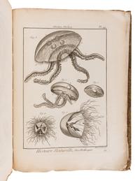 BRUGUIÈRE, Jean Guillaume (1749-1798). Tableau encyclopédique et méthodique des trois règnes de la nature. Contenant l'helminthologie, ou les vers infusoires, les vers intestins, les vers mollusques, &c . Paris: Panckoucke, 1791.