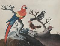 A Set of Six Irish George III Embossed Bird Pictures by Samuel Dixon