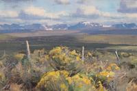 Wyoming Fenceline