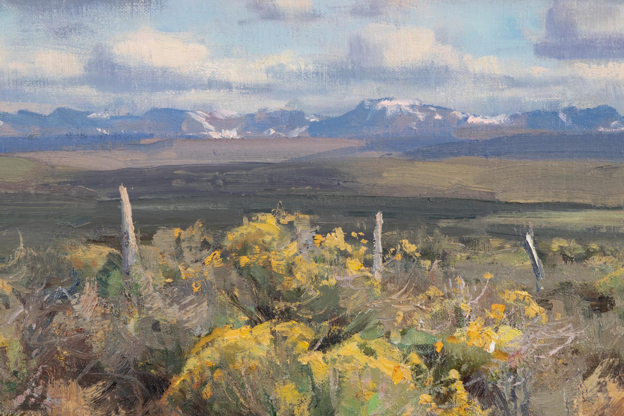 Wyoming Fenceline