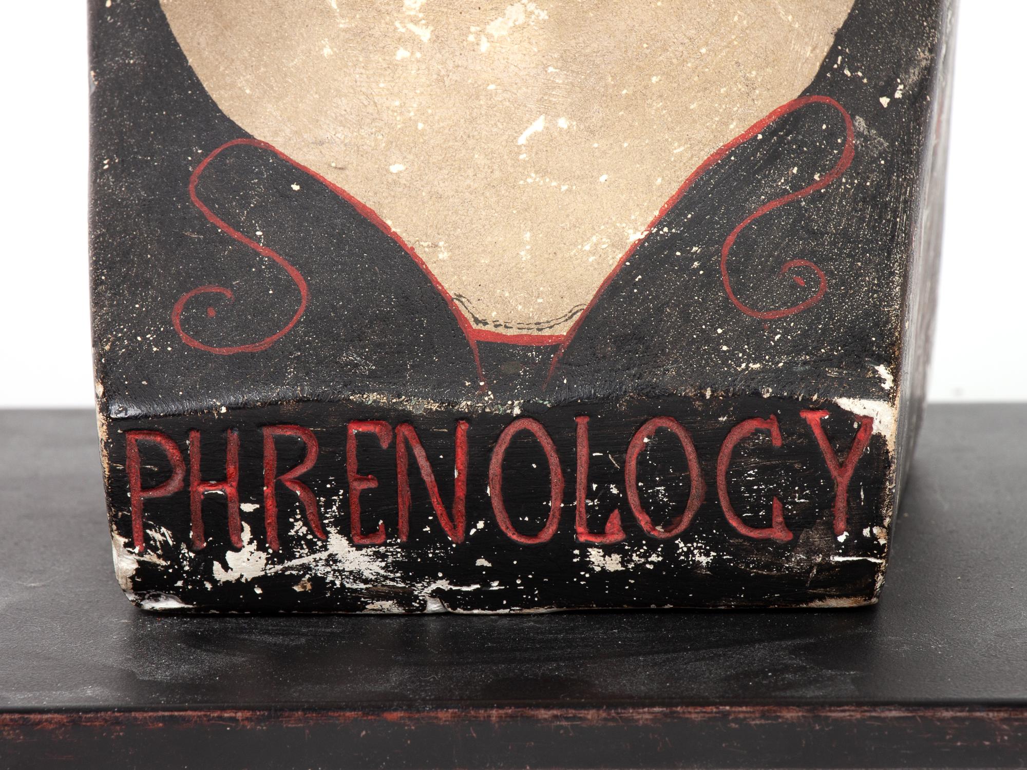 A Chalkware Phrenology Head
