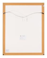 Zèbre Jaune et Zèbre Noir , 1976