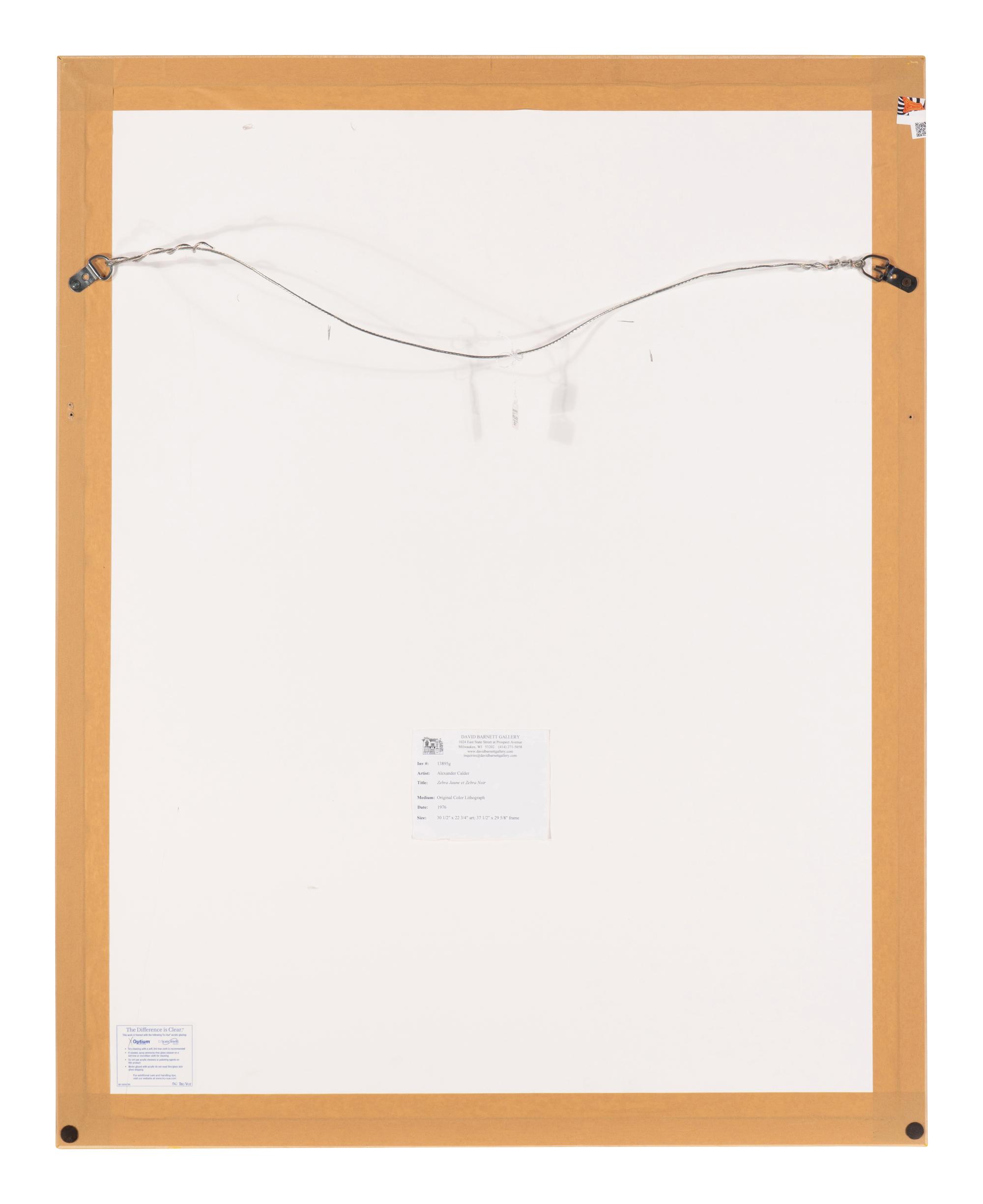 Zèbre Jaune et Zèbre Noir , 1976