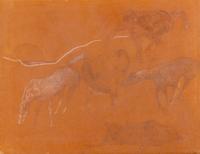 5 Horses