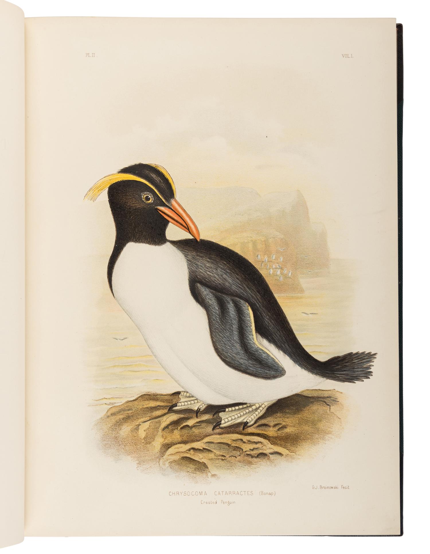 BROINOWSKI, Gracius Joseph (1837-1913). The Birds of Australia . Melbourne, Sydney, Adelaide, Brisbane, New Zealand and Tasmania: S.T. Leigh & Co. for Charles Stuart & Co., 1890-1891.