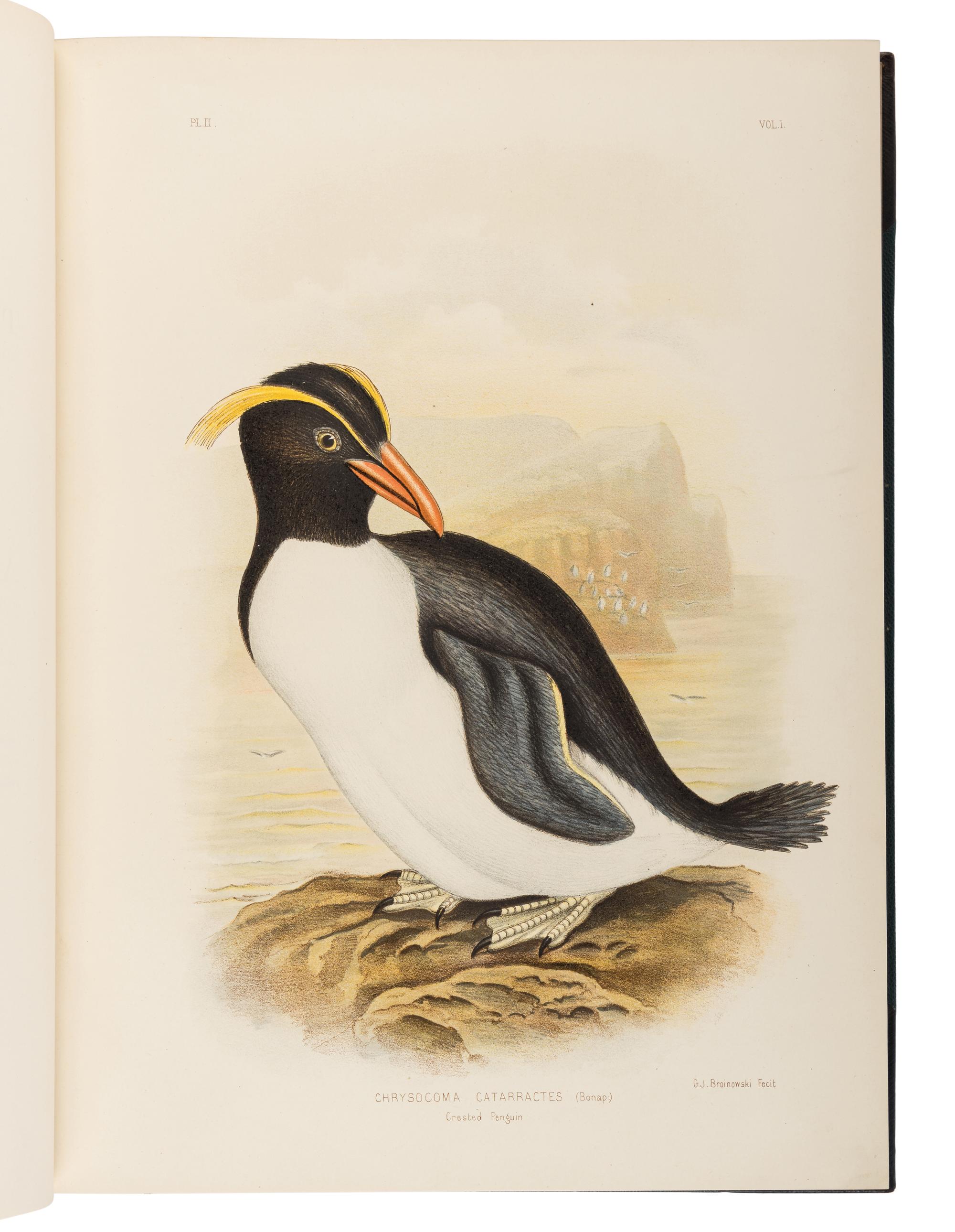 BROINOWSKI, Gracius Joseph (1837-1913). The Birds of Australia . Melbourne, Sydney, Adelaide, Brisbane, New Zealand and Tasmania: S.T. Leigh & Co. for Charles Stuart & Co., 1890-1891.