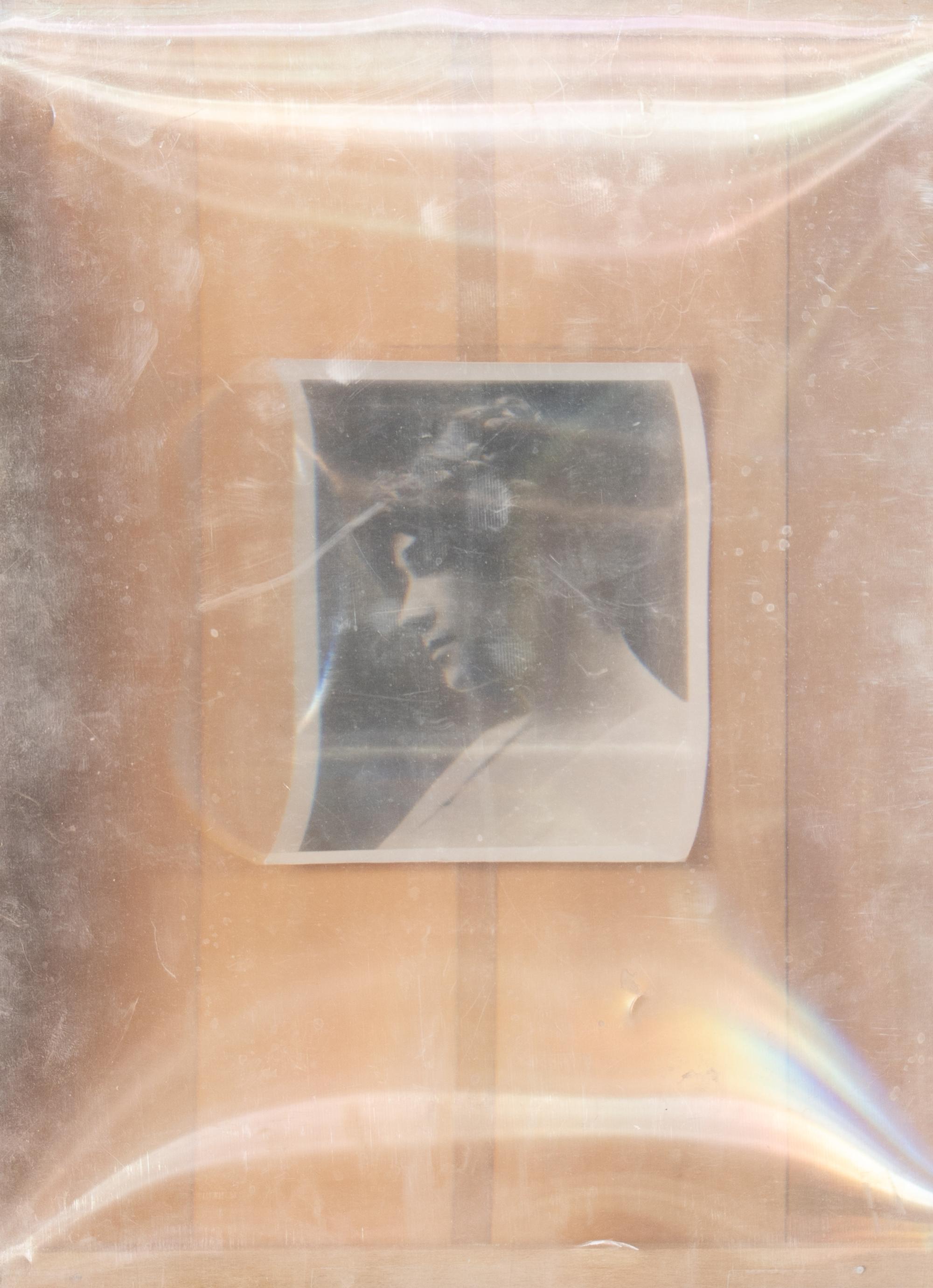 Marian , 2014