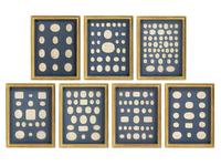 Seven Framed Groups of Grand Tour Plaster Intaglios