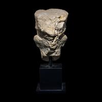 A Palmyrene Limestone Head of a Priest