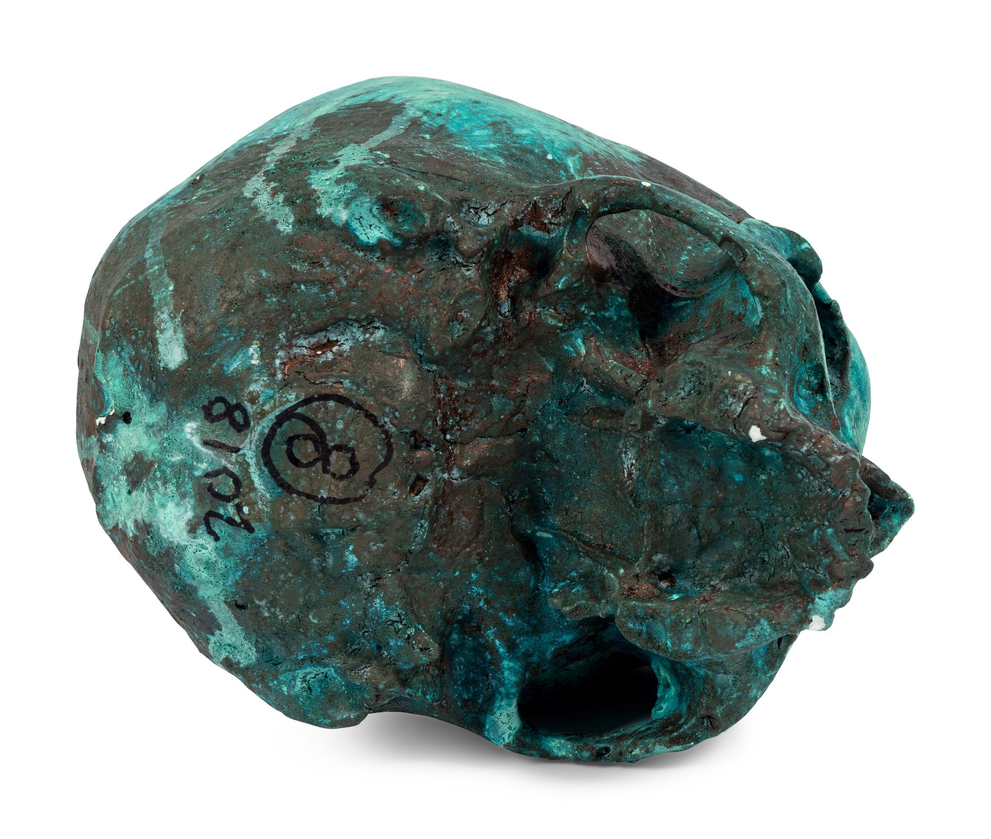 Scull (#8) , 2018