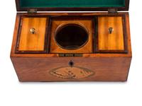 A Regency Satinwood and Marquetry Tea Caddy