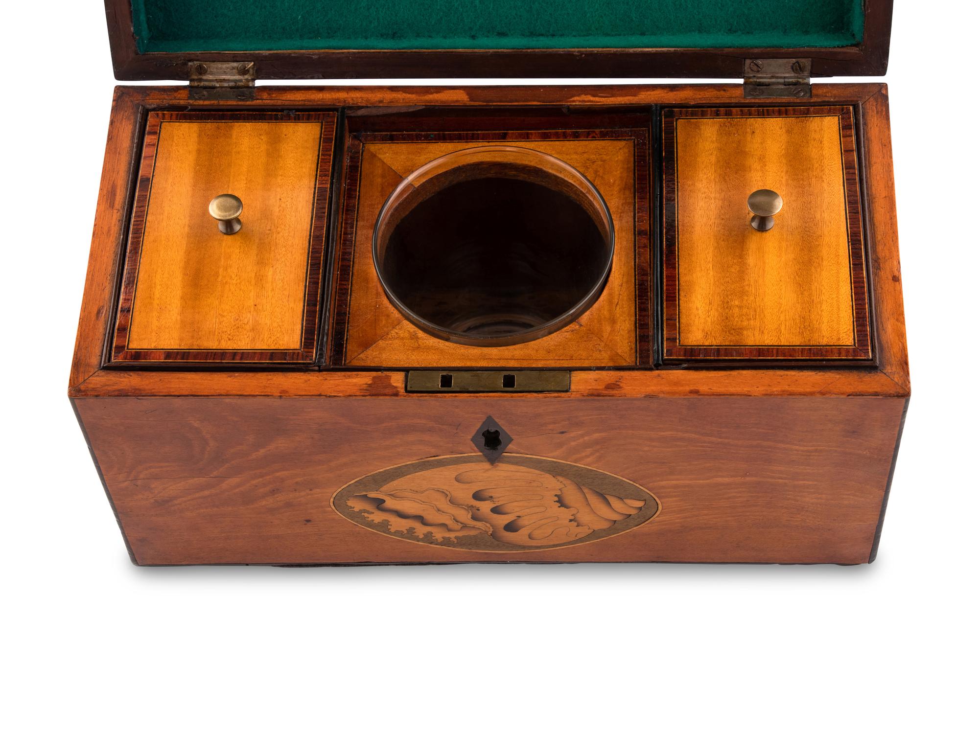 A Regency Satinwood and Marquetry Tea Caddy