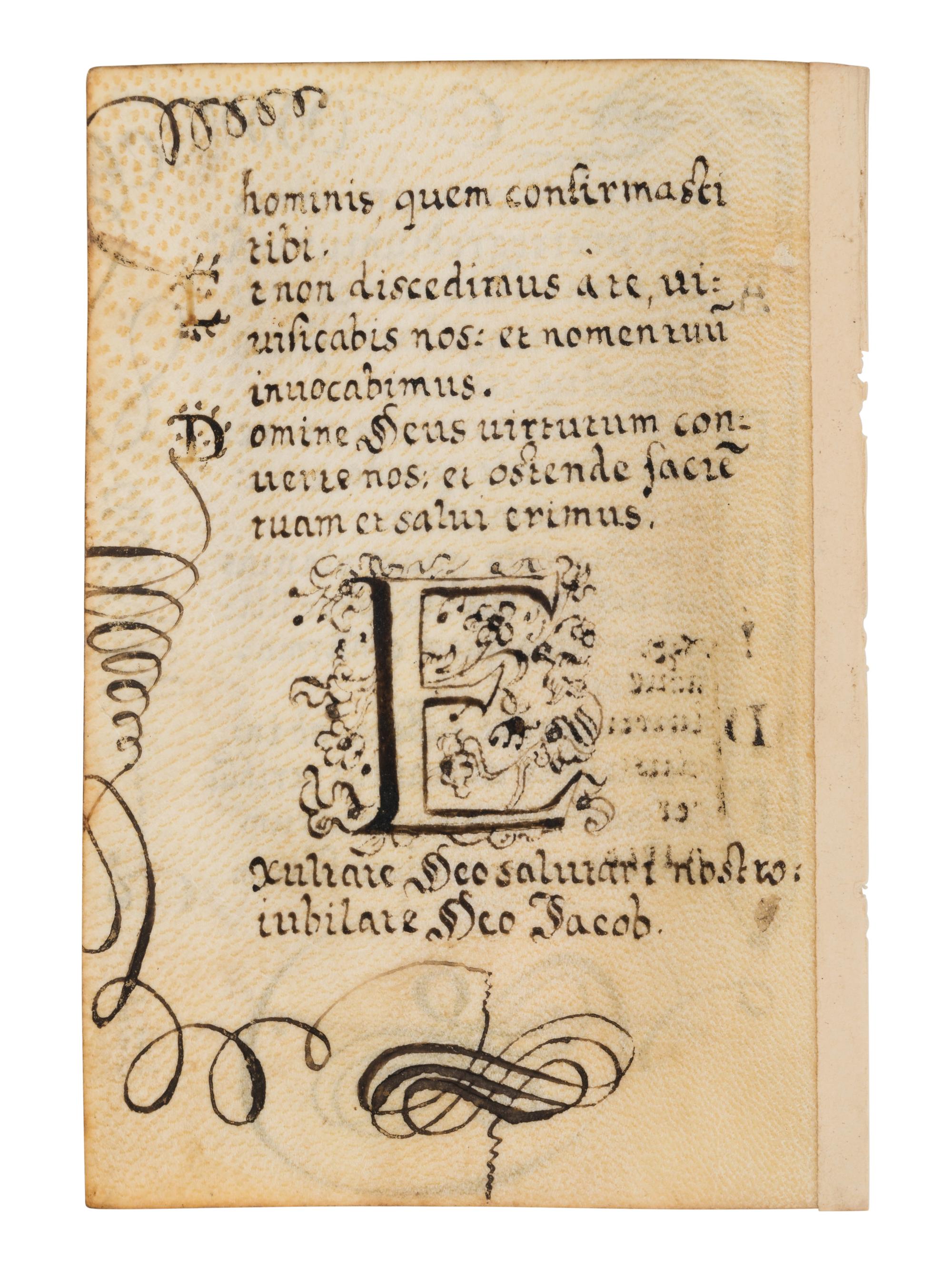 A collection of leaves from Psalter manuscripts, illuminated in Flanders in the first half of the thirteenth century, joined with a group of seventeenth- or eighteenth-century Psalter leaves drawn according to similar models
