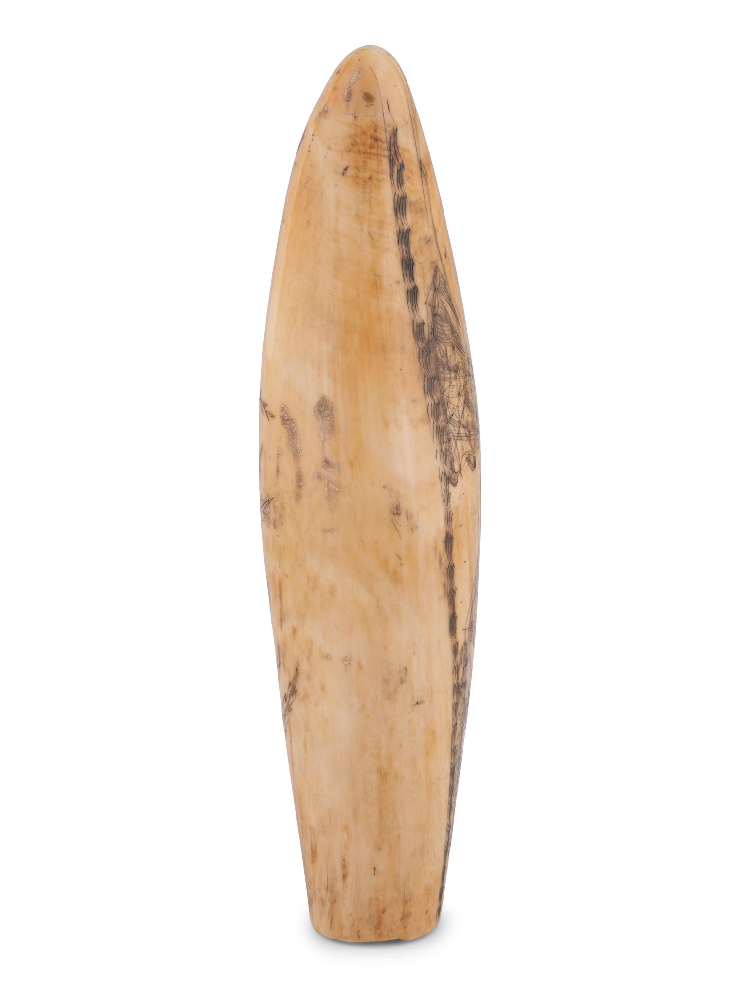 A Scrimshaw Tooth Depicting Two Ships Underway