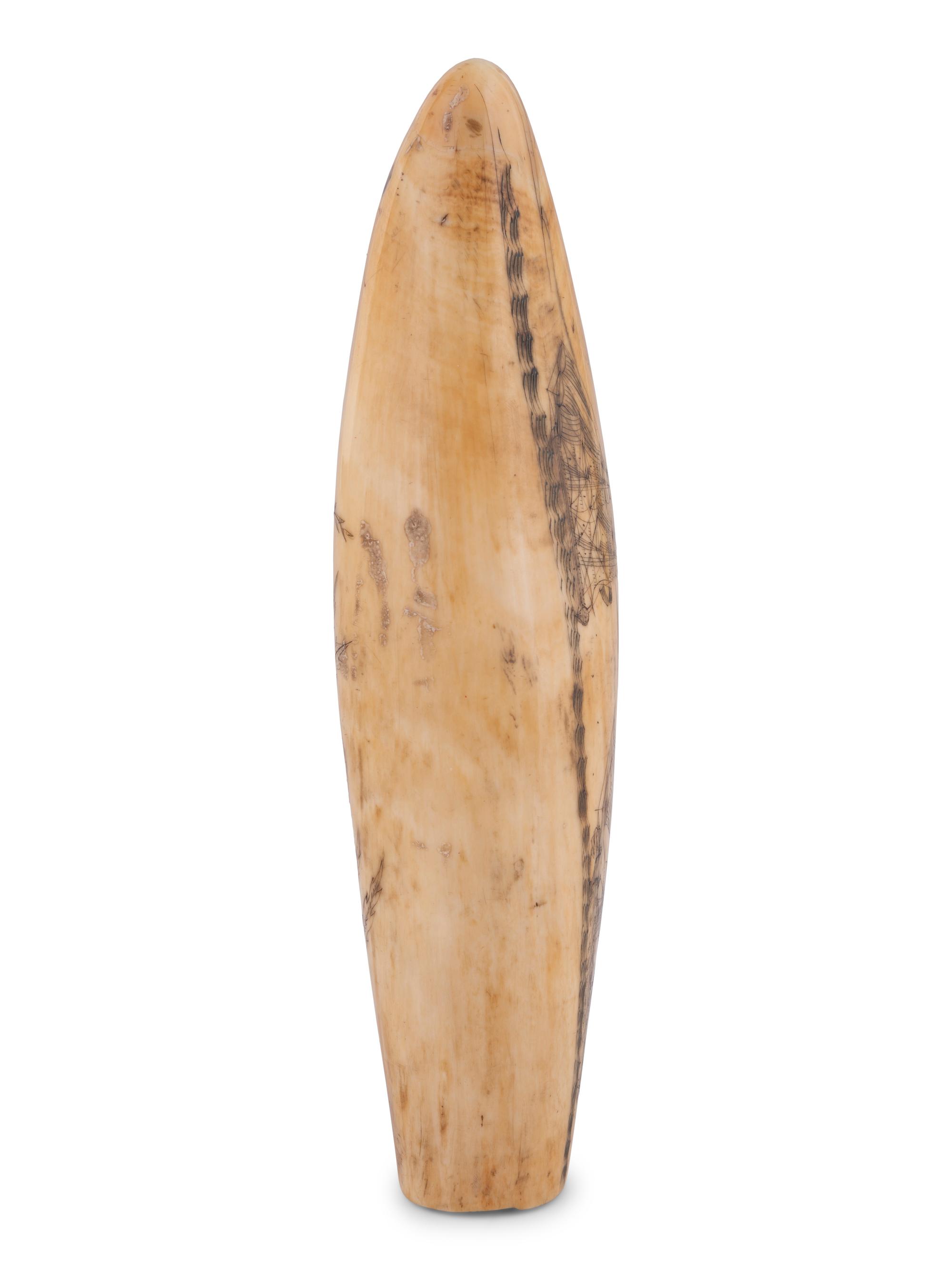 A Scrimshaw Tooth Depicting Two Ships Underway