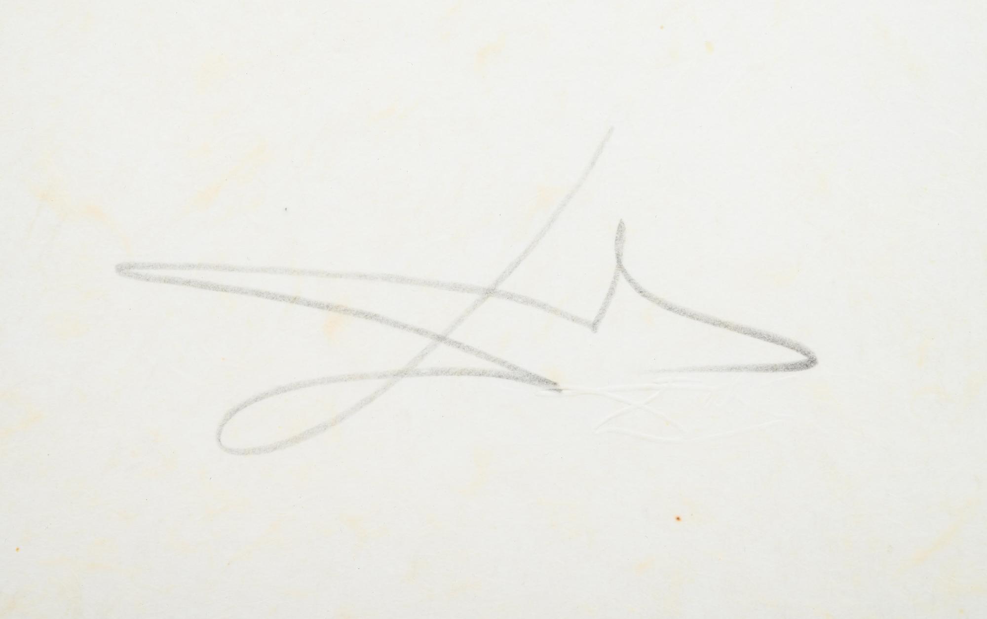 Petites Nus (from Apollonaire ) (a group of 7 prints from the portfolio of 8)