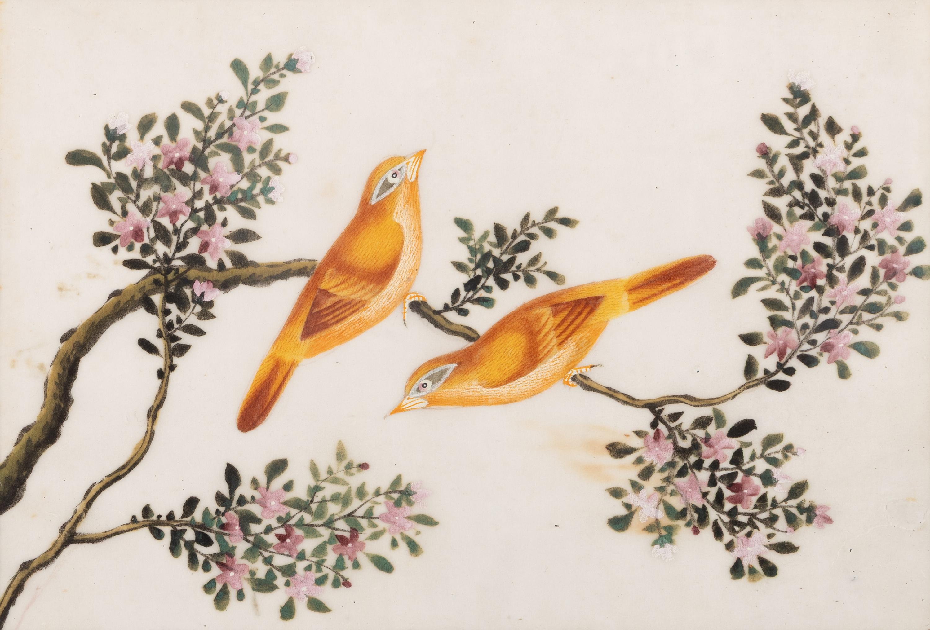 A Set of Twelve Chinese Export Watercolor and Pith Paintings