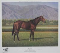 Nineteen Equestrian Prints