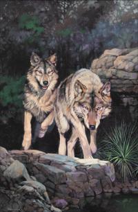 Two Wolves , 2015