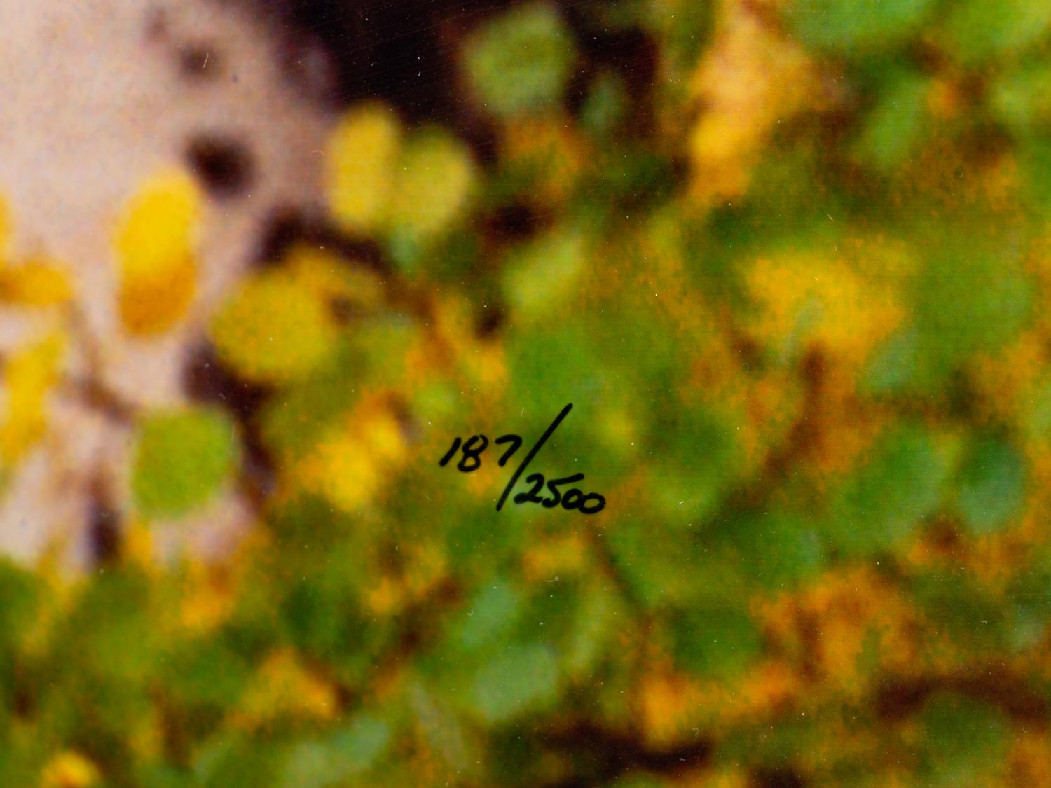 Edge of Fall , edition 187/2500