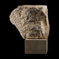A Roman Marble Relief Fragment with the Head of a Satyr