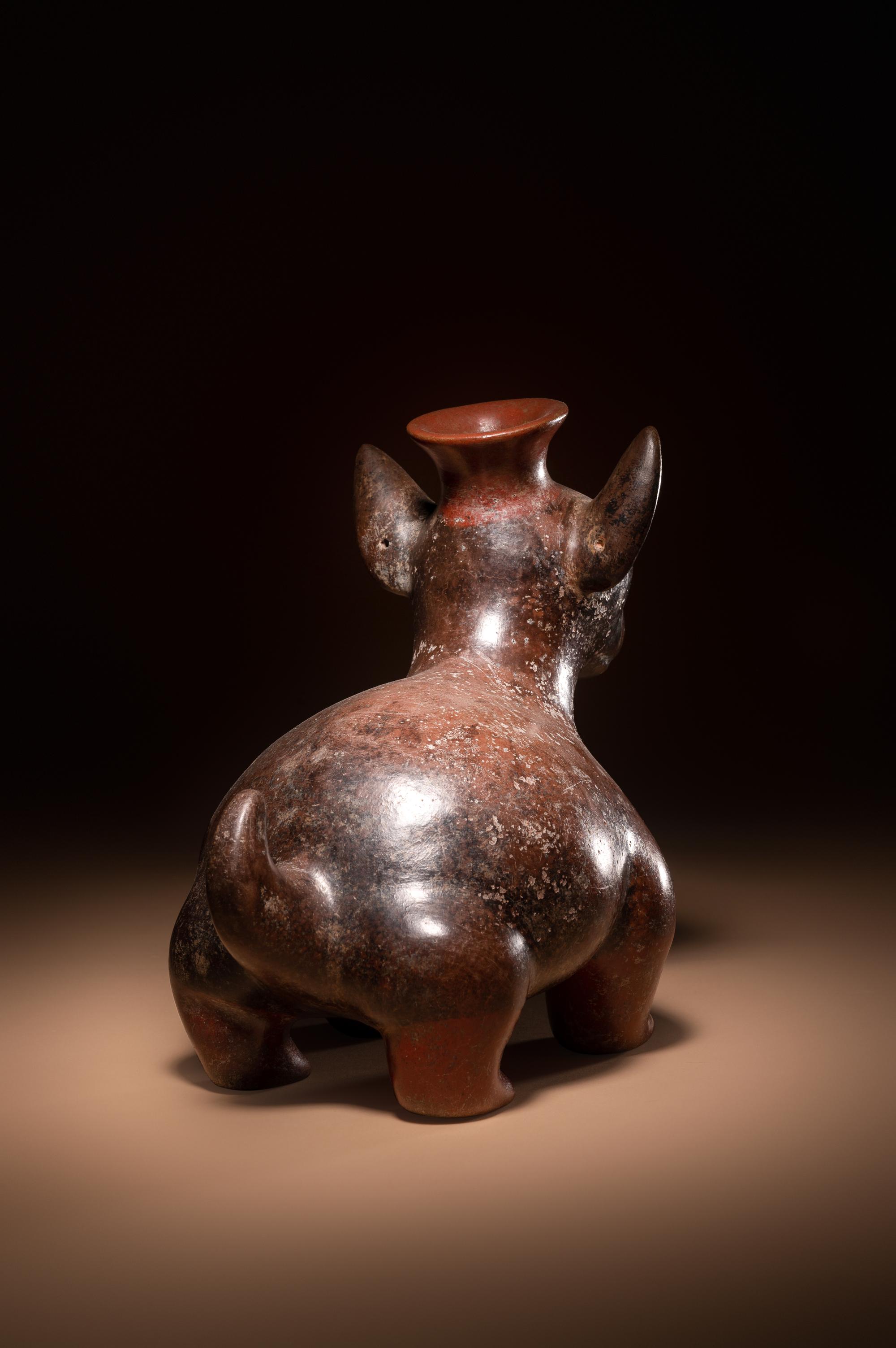 A Colima Dog Effigy Vessel