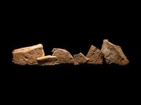 Six Roman Terracotta Legion Tiles
