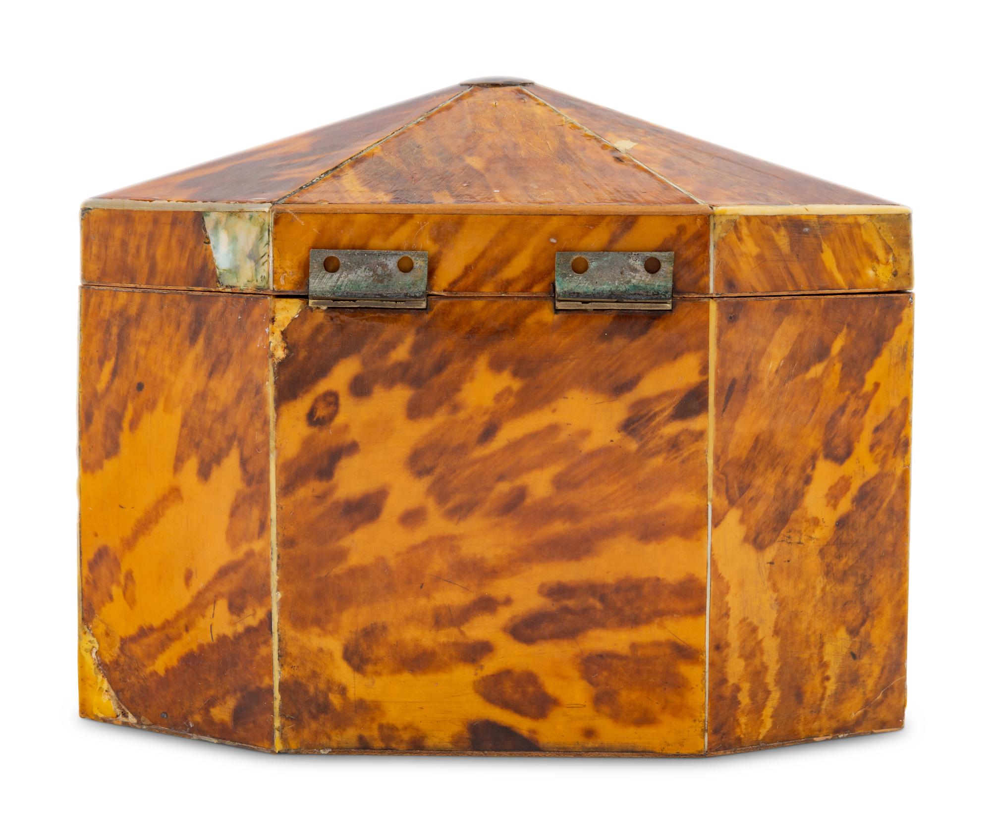 A Regency Tortoiseshell Tea Caddy