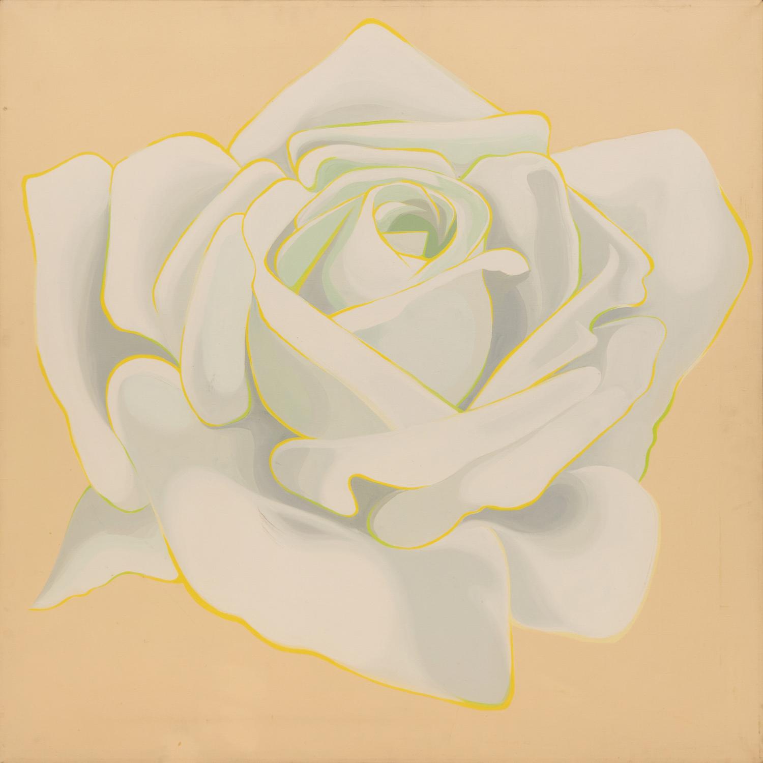 White Rose
