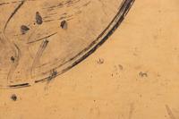 Untitled (A Group of Eight)