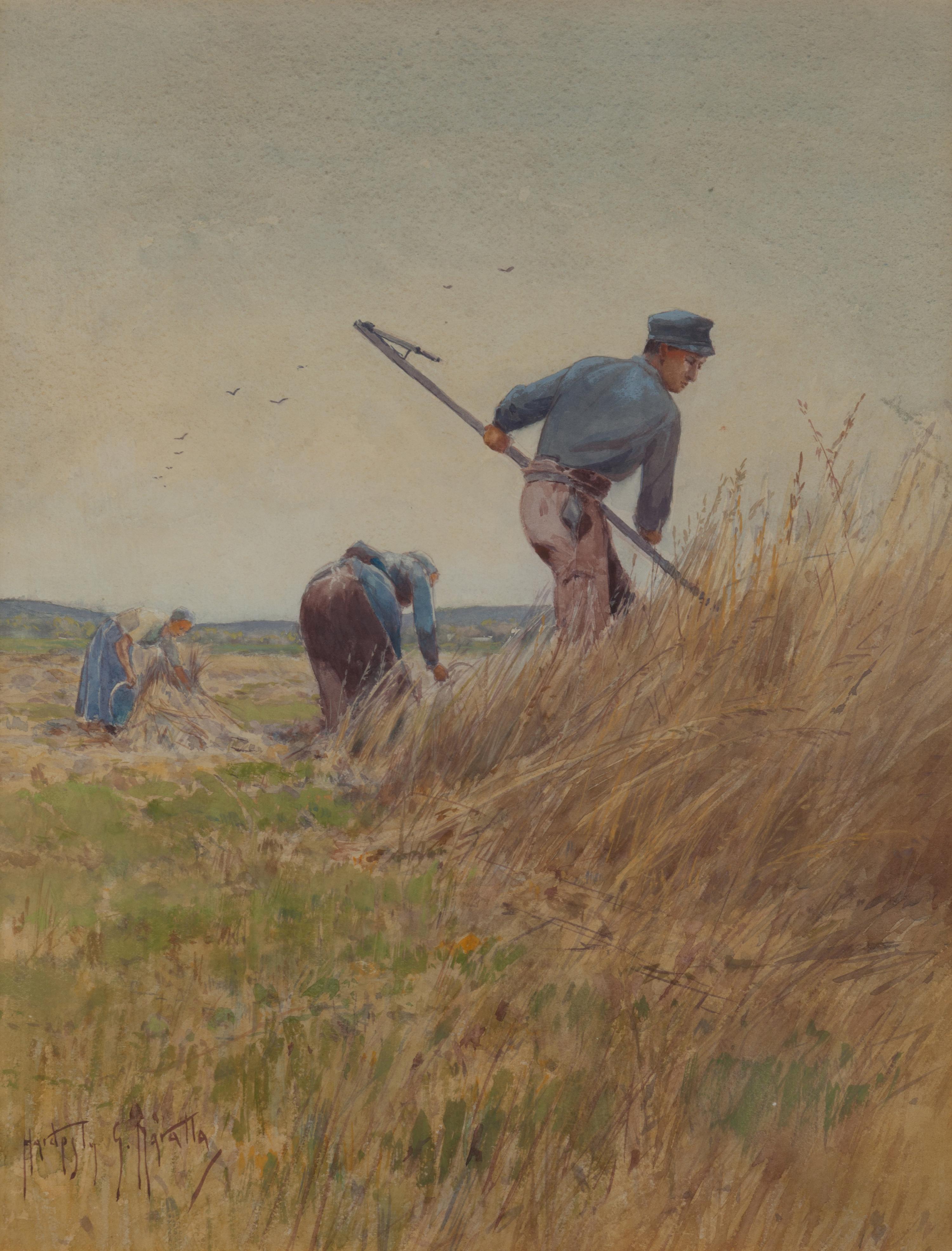 Hardesty G. Maratta