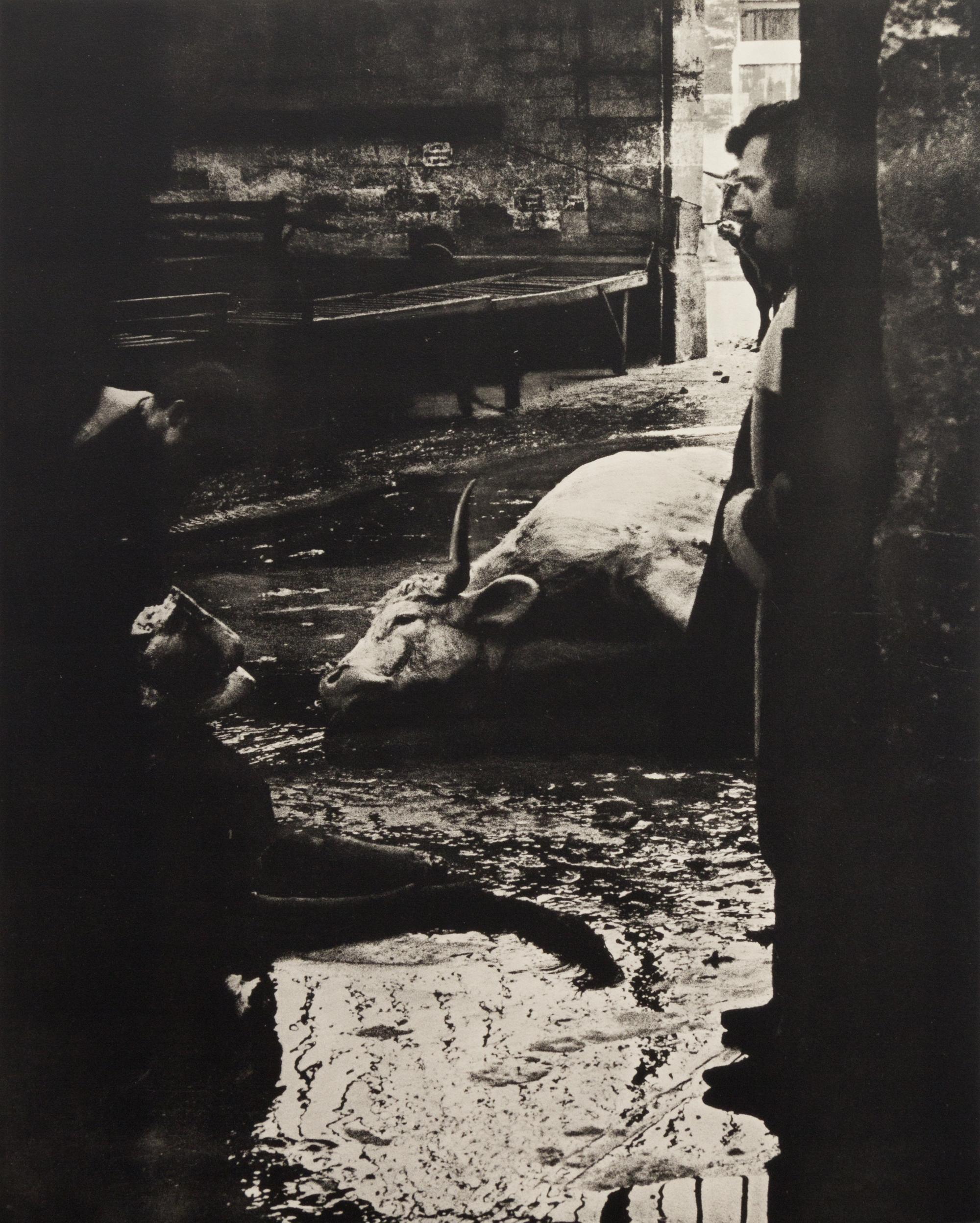 Jose Gardy Artigas, (French, b. 1938), les boeufs meuarent aussi...., 1971 (portfolio consisting of 13 lithographs and pencil drawing s