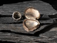 Sterling Silver Heart-shaped Locket and Coral Ring