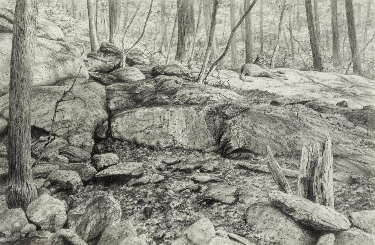 Sunning , 2005