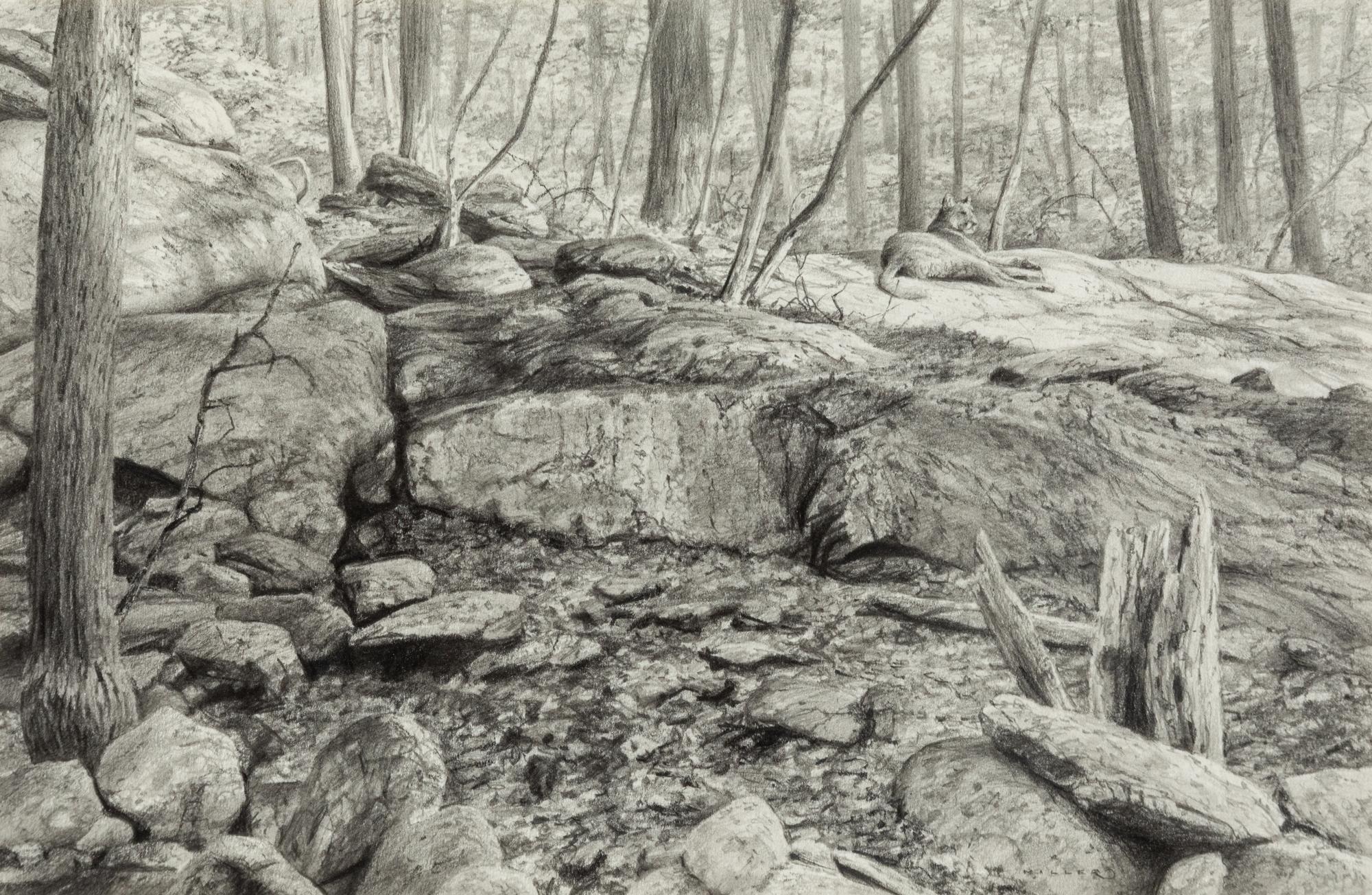 Sunning , 2005