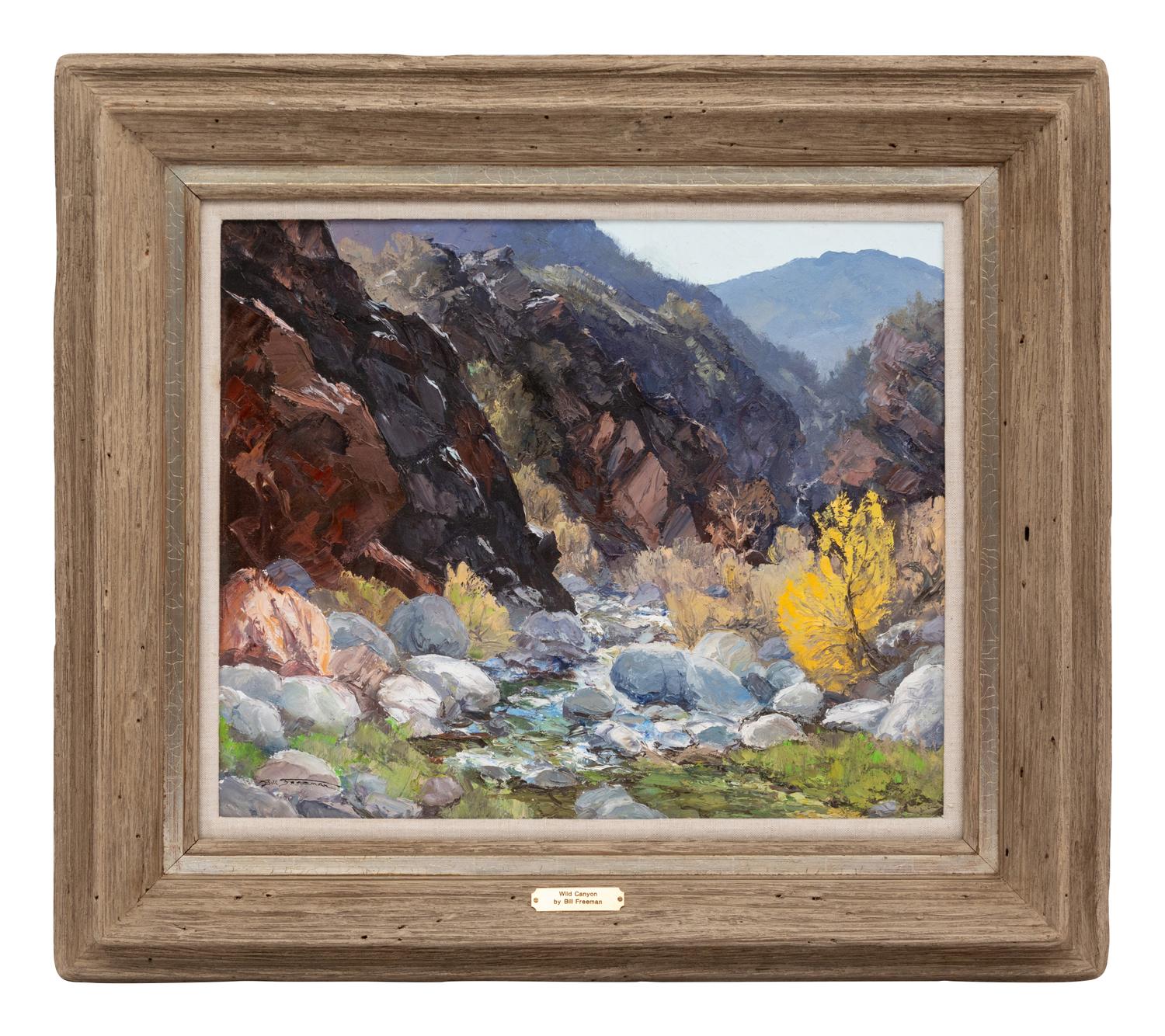 Wild Canyon