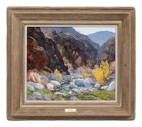 Wild Canyon