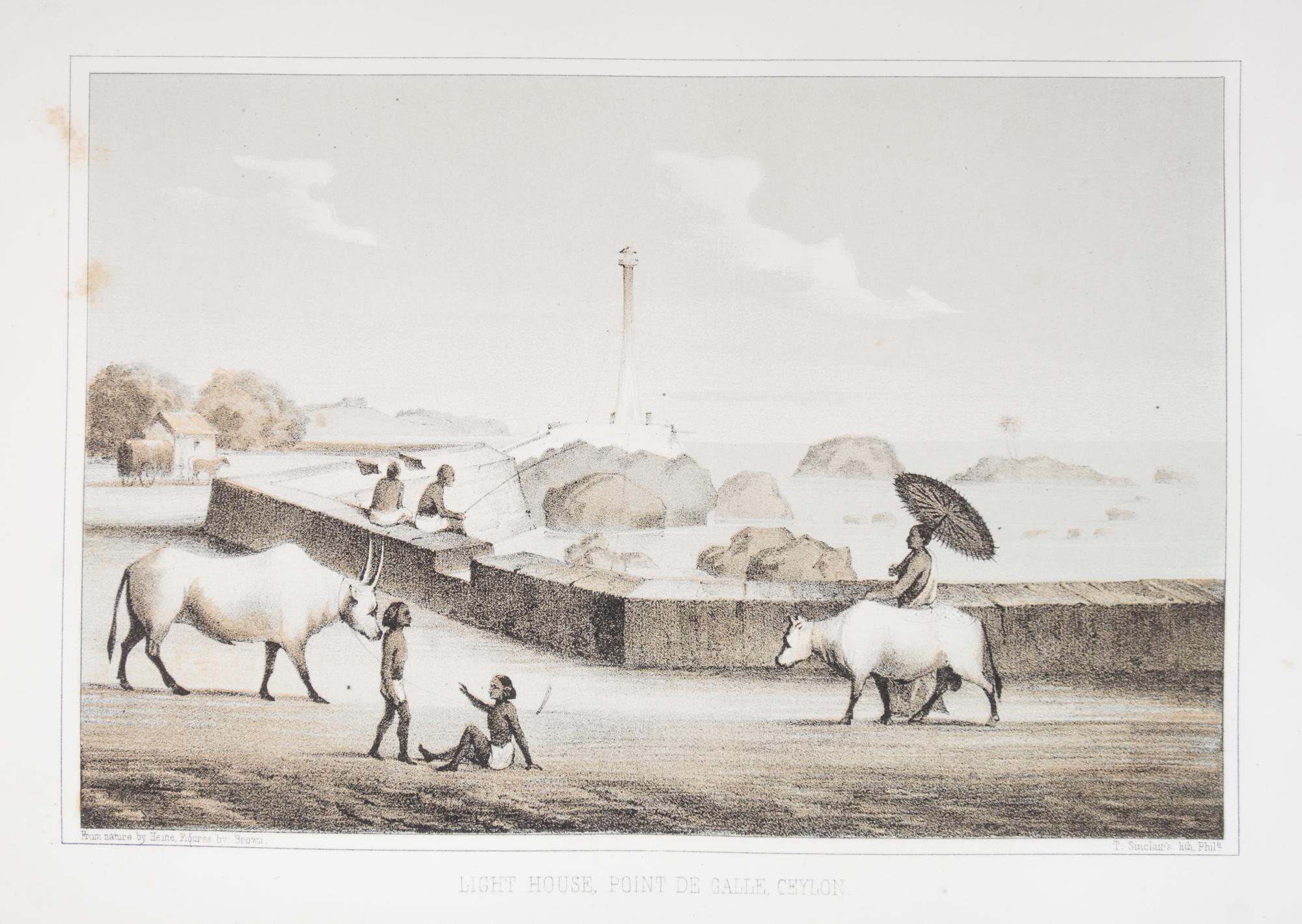 PERRY, COMMODORE MATTHEW CALBRAITH. Narrative of the Expedition of an American Squadron... Wash, 1856. 3 vols. First ed.