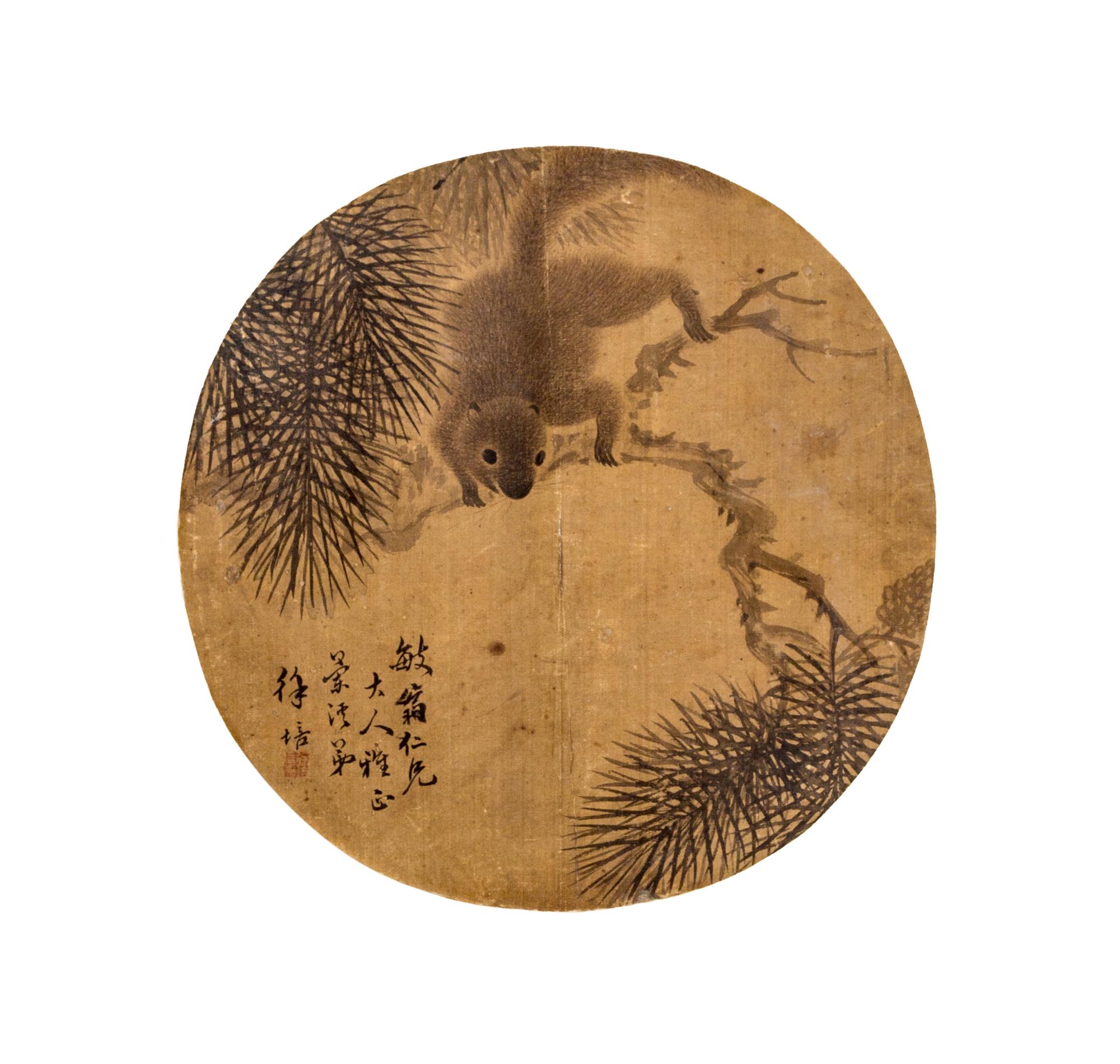 Xu Pei, (QING DYNASTY), Squirrel and Pine