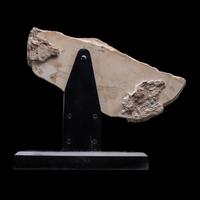 A Roman Marble Sarcophagus Fragment