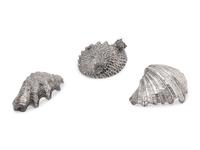 A Group of Three Silver-Plate Clad Seashells