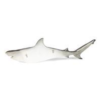 A Resin Model of a Shark Mount