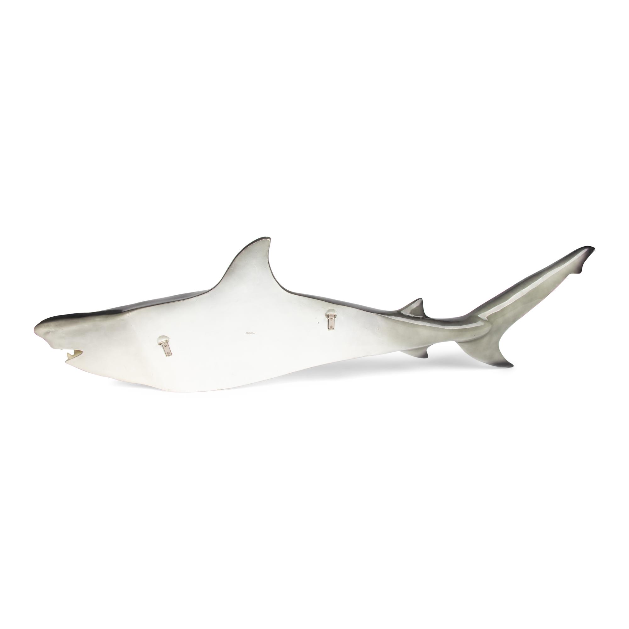 A Resin Model of a Shark Mount
