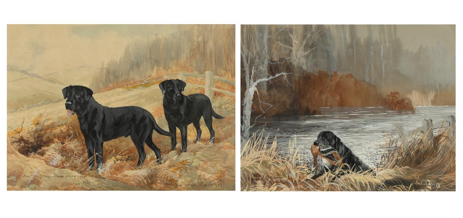 Field Trial Champion Labrador Retrievers and Bring Him Up Boy! (two works)