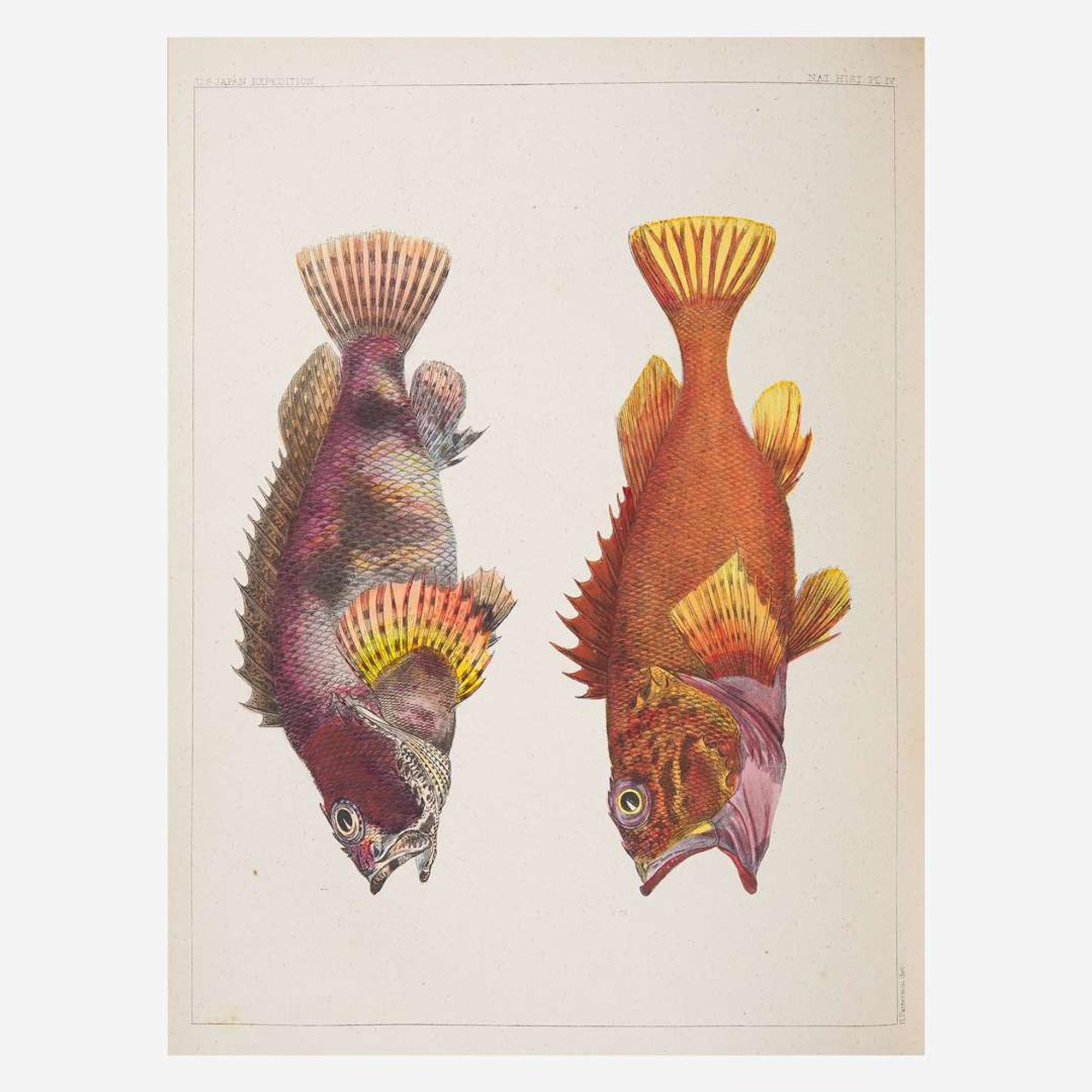 [Americana] [Perry, Commodore Matthew C.] Hawks, Francis L. Narrative of the Expedition of an American Squadron to the China Seas and Japan, Performed in the Years 1852, 1853, and 1854, Under the Command of Commodore M.C. Perry, United States Navy...