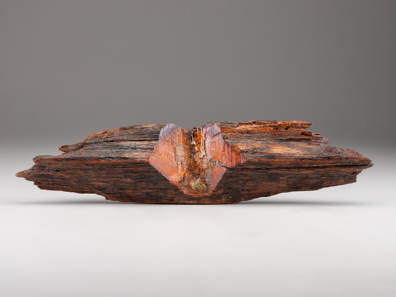 [CIVIL WAR]. Minié ball lodged in fragment of fence.