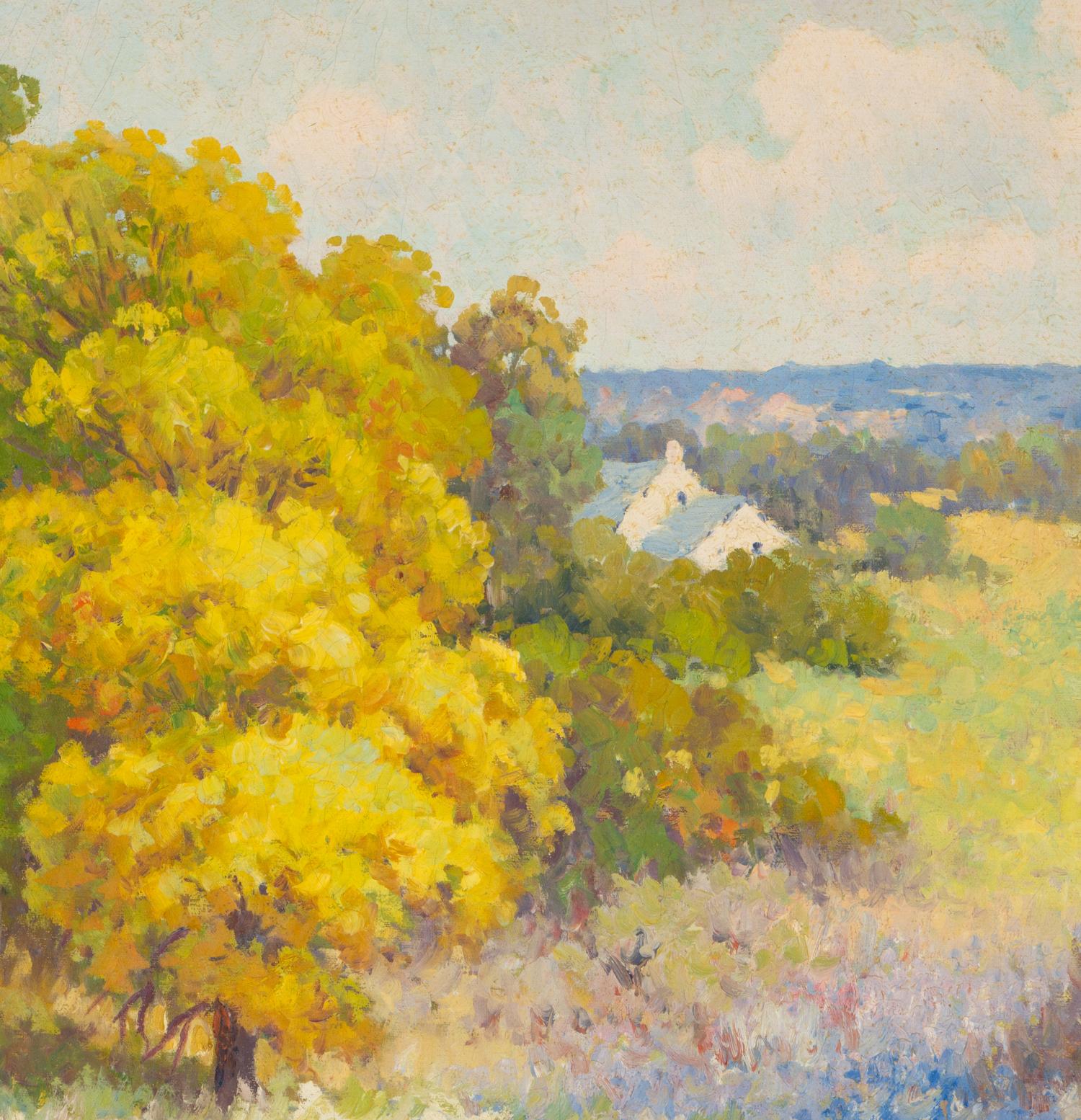 Texas Landscape