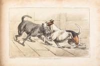ALKEN, HENRY. Alken's New Scrap Book. London, 1824. With 20 engraved color plates.