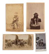 [EARLY PHOTOGRAPHY - ANIMALS]. An assorted group of 12 portraits featuring dogs and cats.